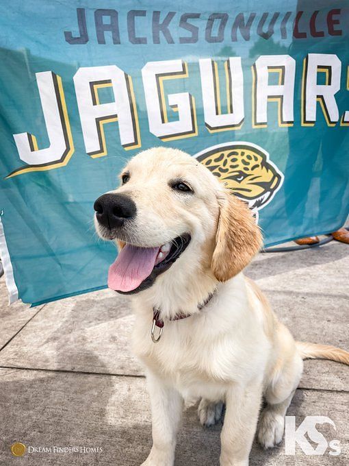 Jacksonville Jaguars on X: Coming soon to a gridiron near you!  @Dream_Finders