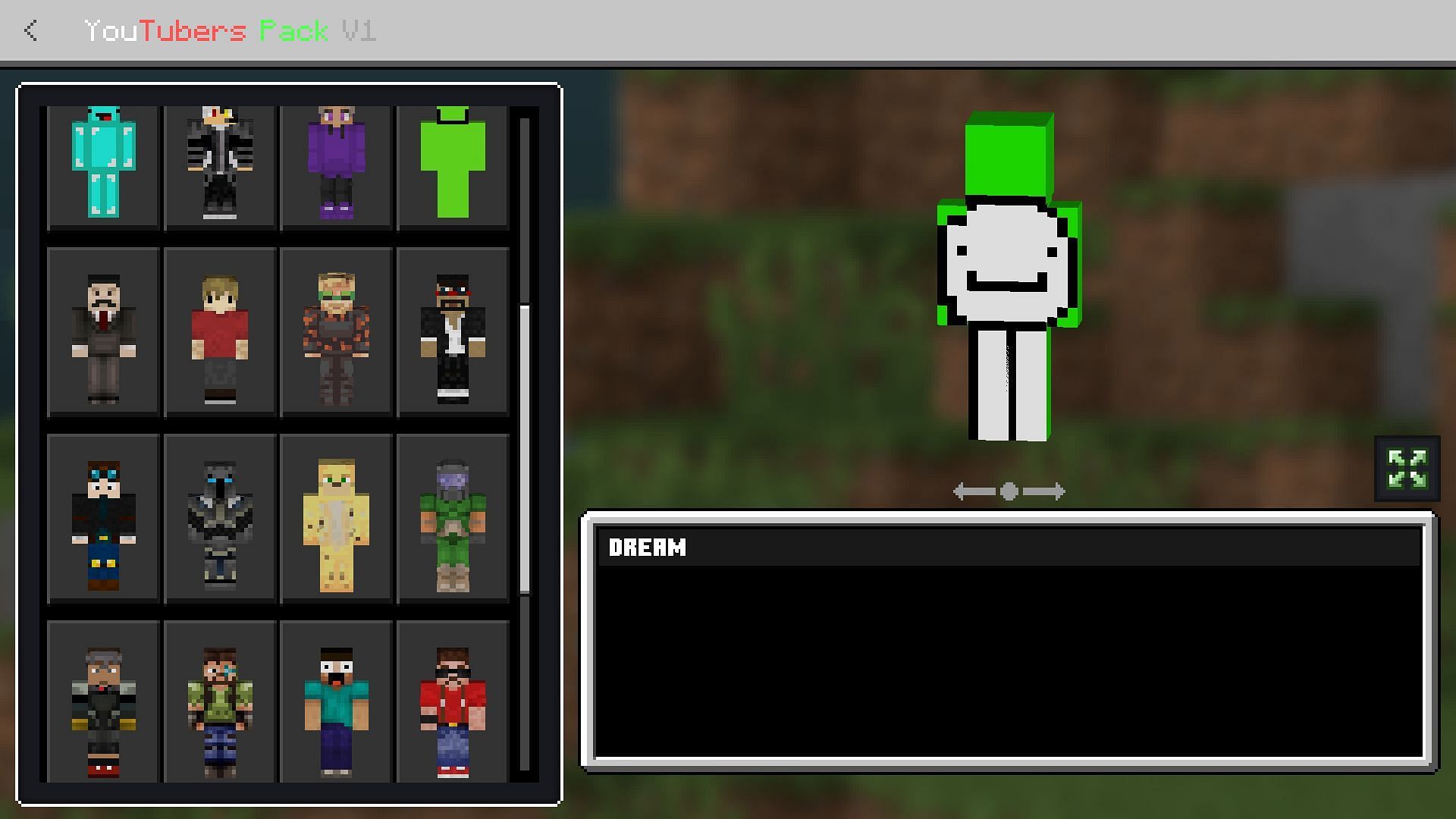 A Minecraft YouTuber skin pack made for Bedrock Edition (Image via itsassassin.com)