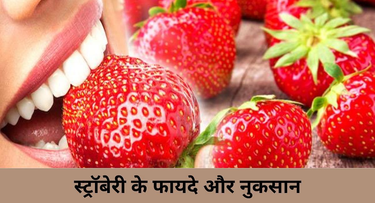 स्ट्रॉबेरी के फायदे और नुकसान(फोटो-Sportskeeda hindi)