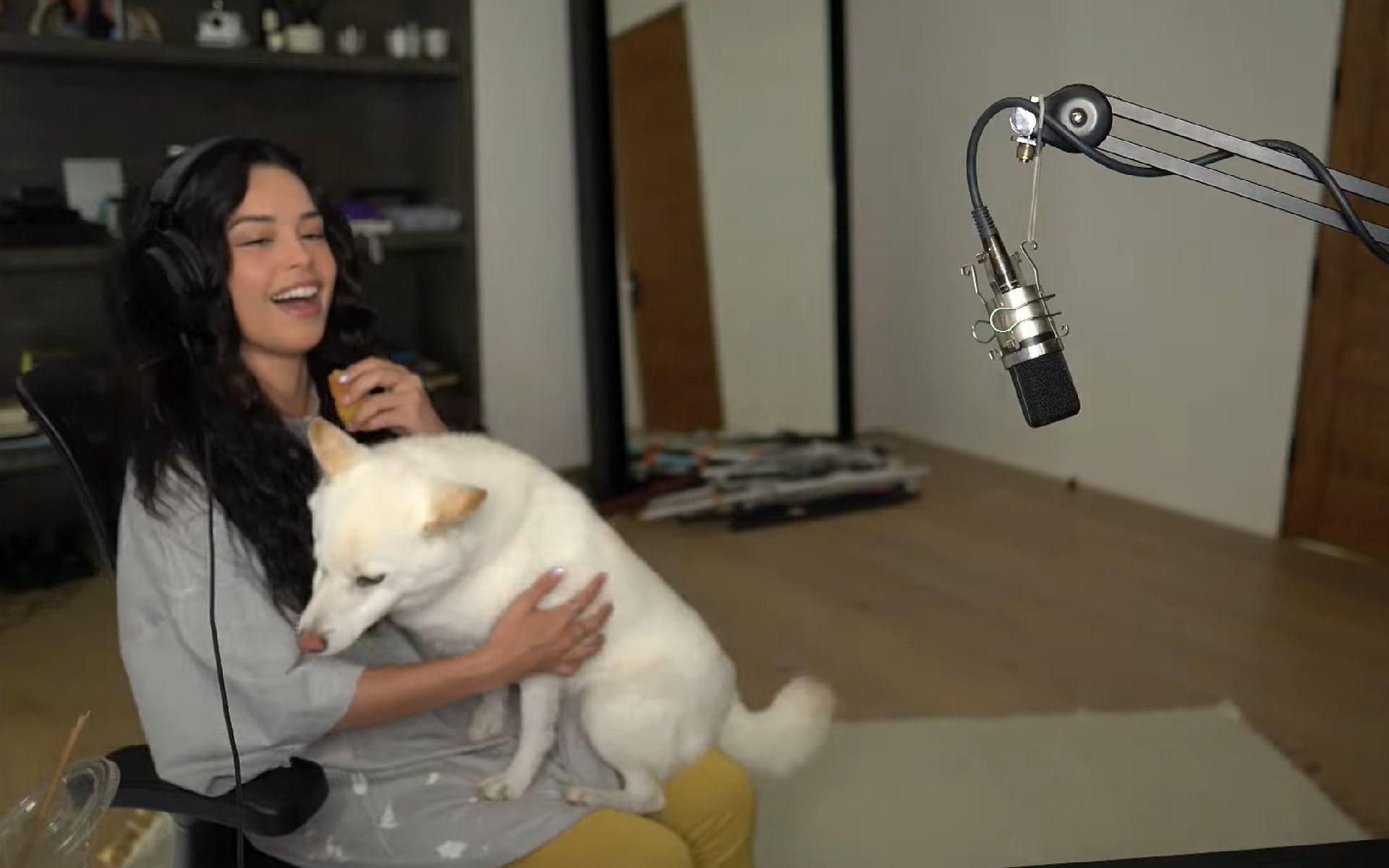 YouTube Gaming star shows off her pet dog&#039;s antics on stream (Image via Valkyrae/YouTube)
