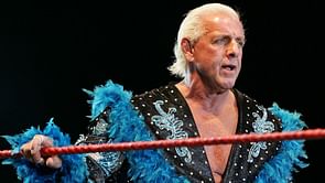 Former WWE Superstar names Ric Flair and other wrestling legends in dream movie roles