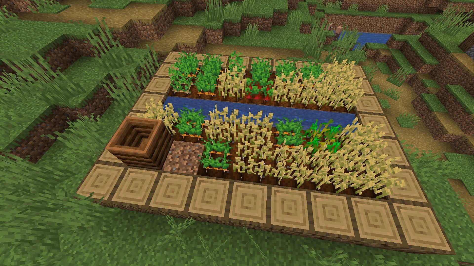 A composter found in a village as part of a farm (Image via Minecraft)