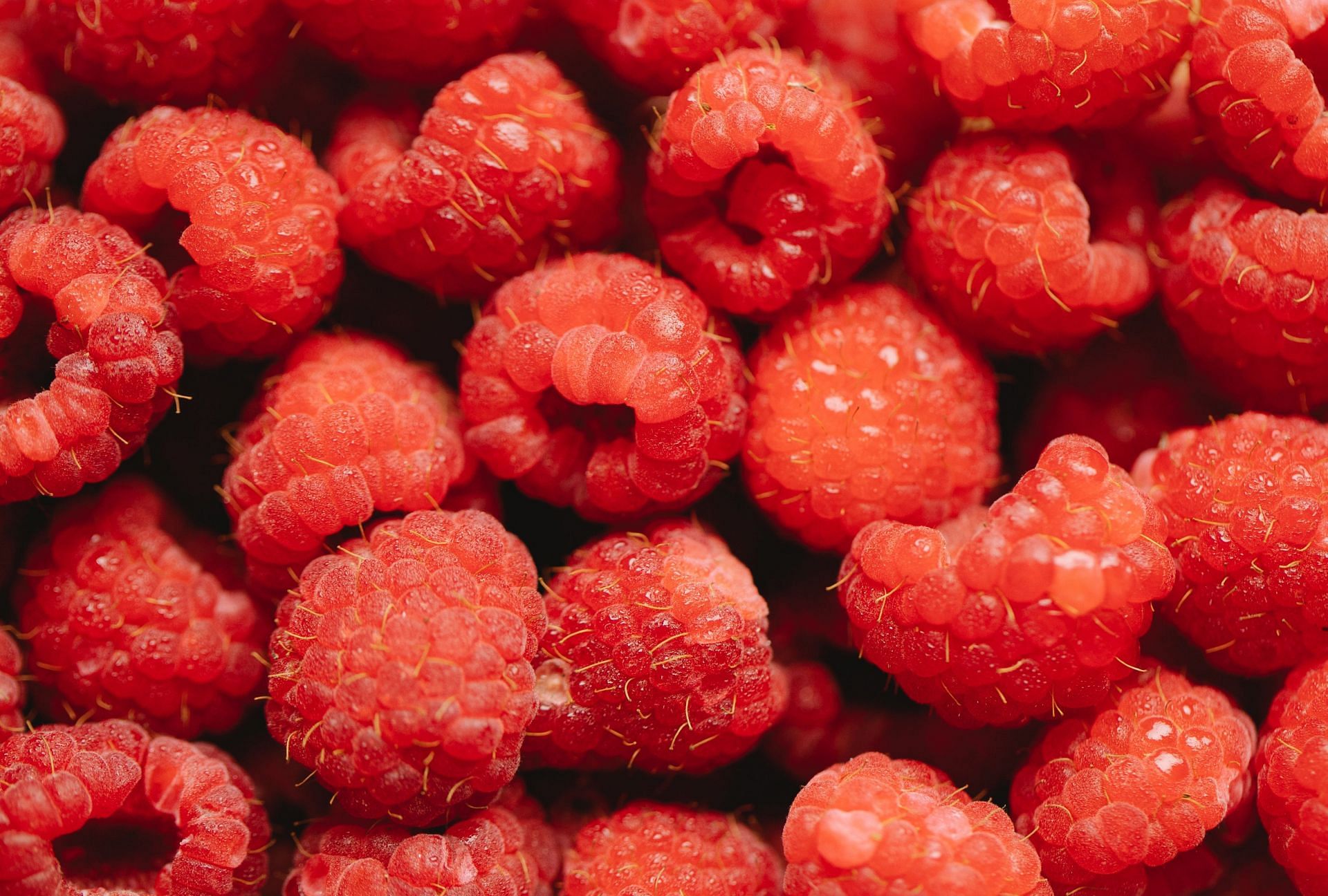 Antioxidants help in combating free radicals. (Image via Pexels / Any Lane)