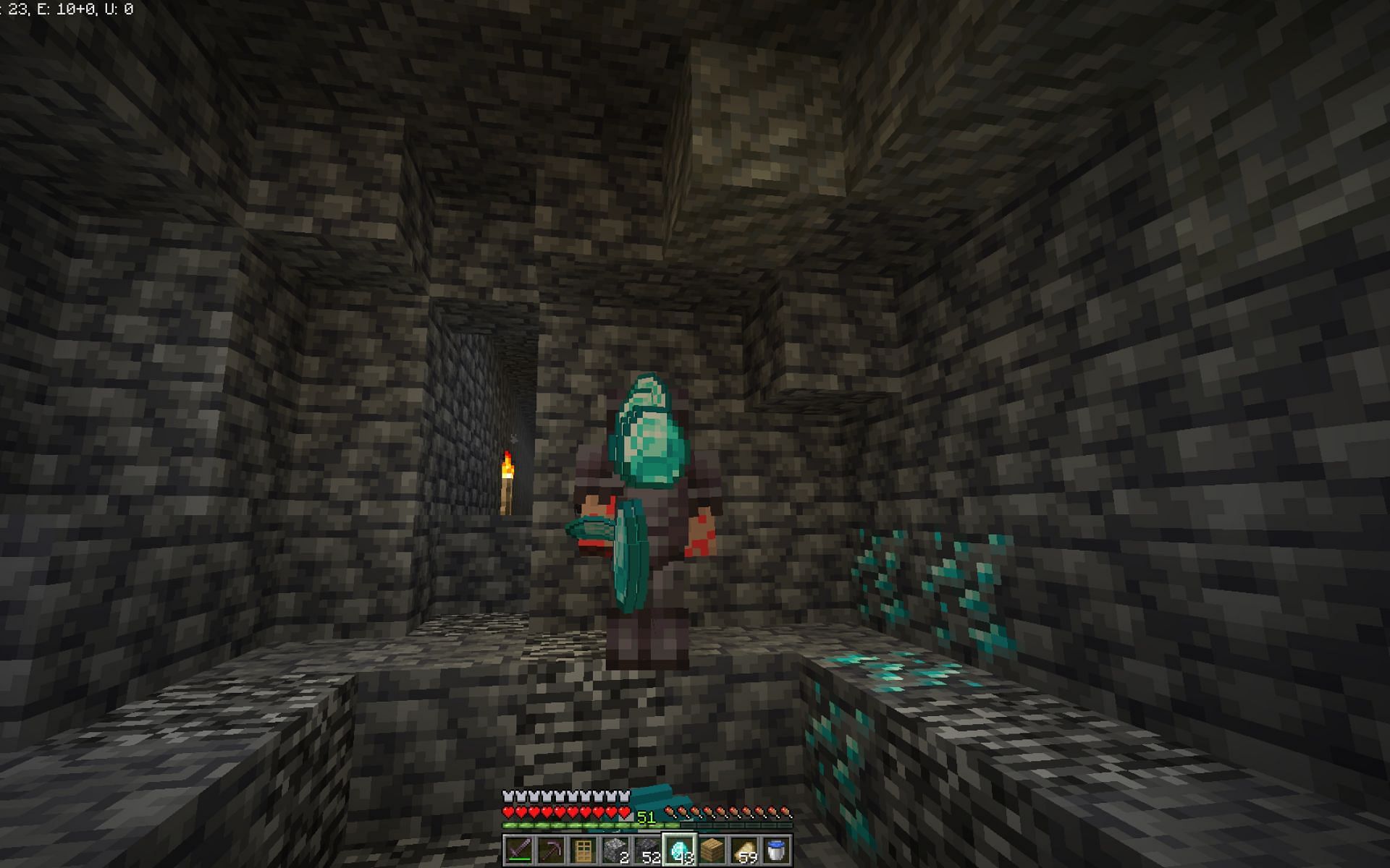 Diamonds are one of the most precious items (Image via Minecraft 1.19)