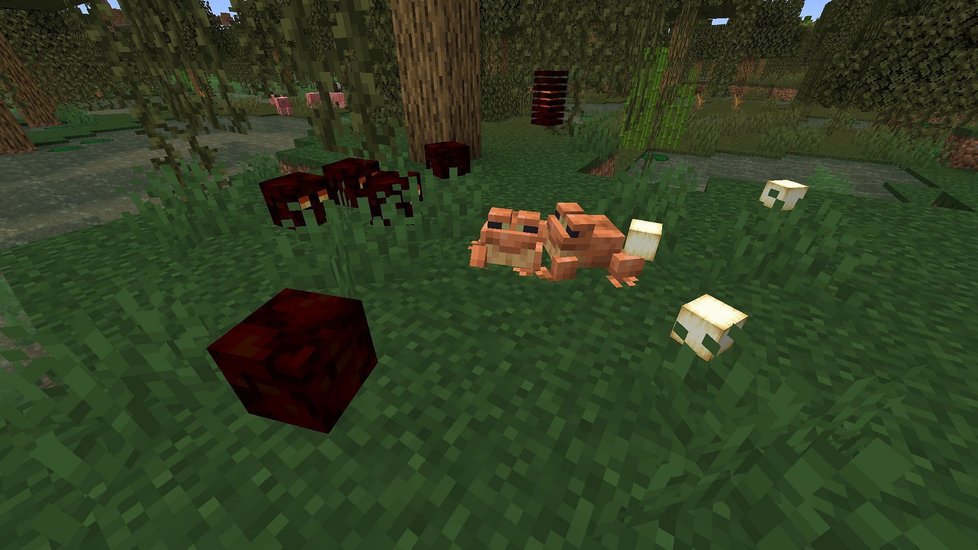 Frogs can eat magma cubes and slimes (Image via Minecraft 1.19)