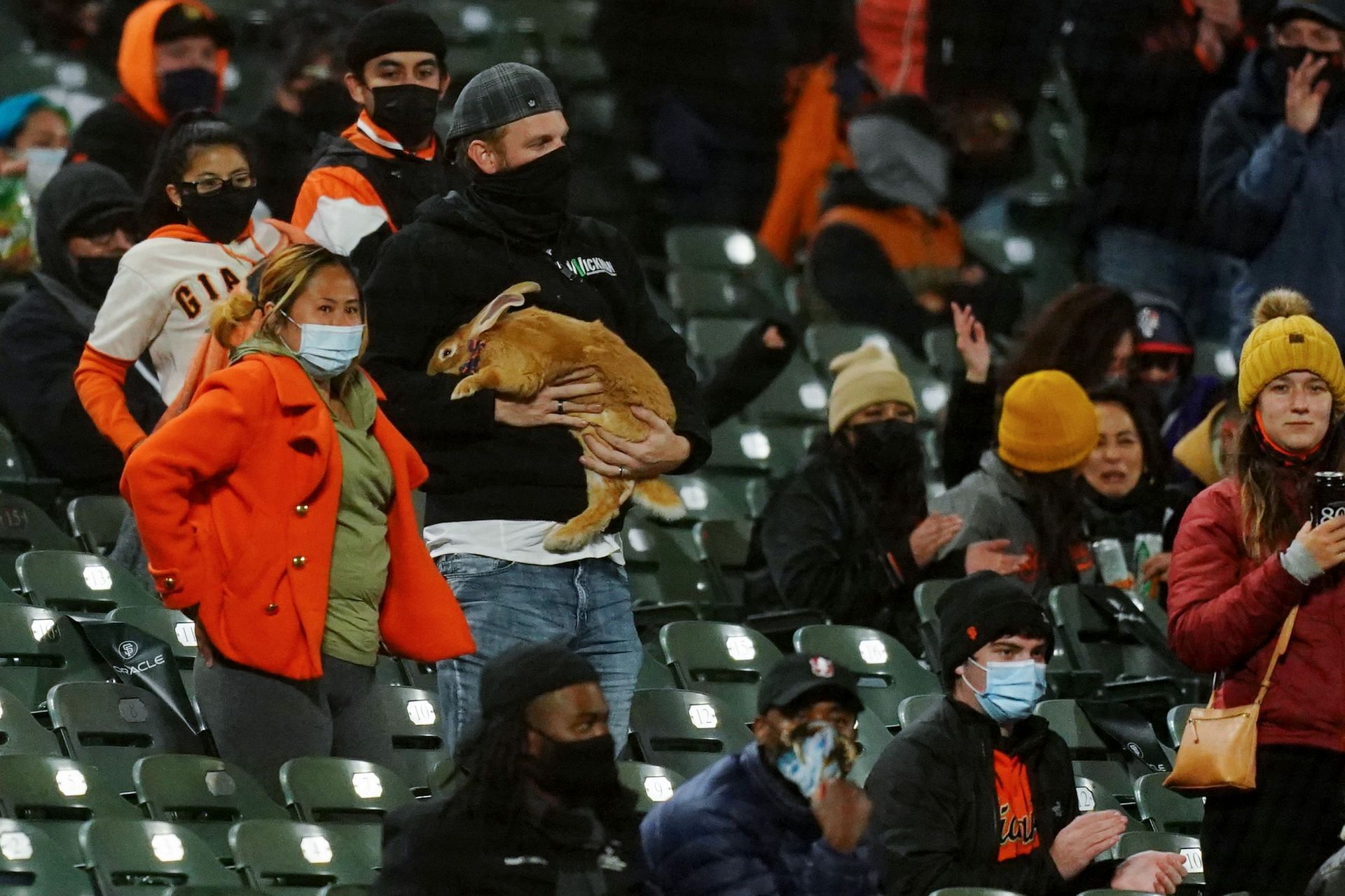 MLB San Francisco Giants Security Bear