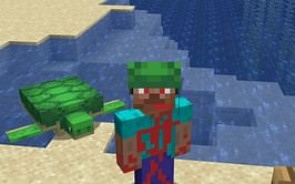 How to get the turtle helmet in Minecraft 1.19