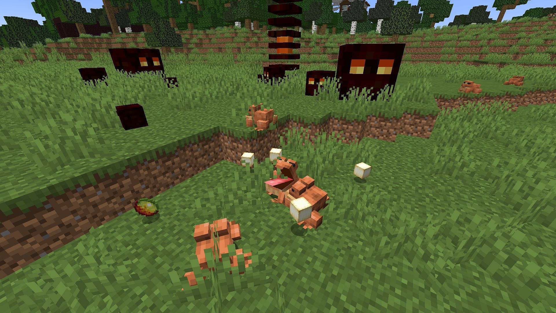 Frogs in The Wild Update (Image via Mojang)