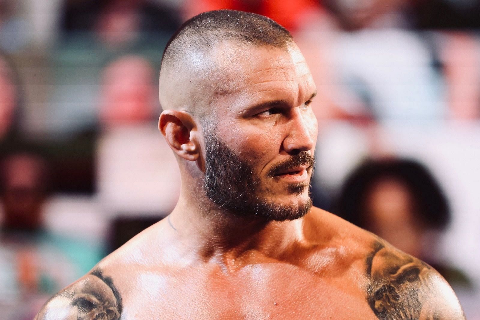 Randy Orton is a multi-time WWE World Champion