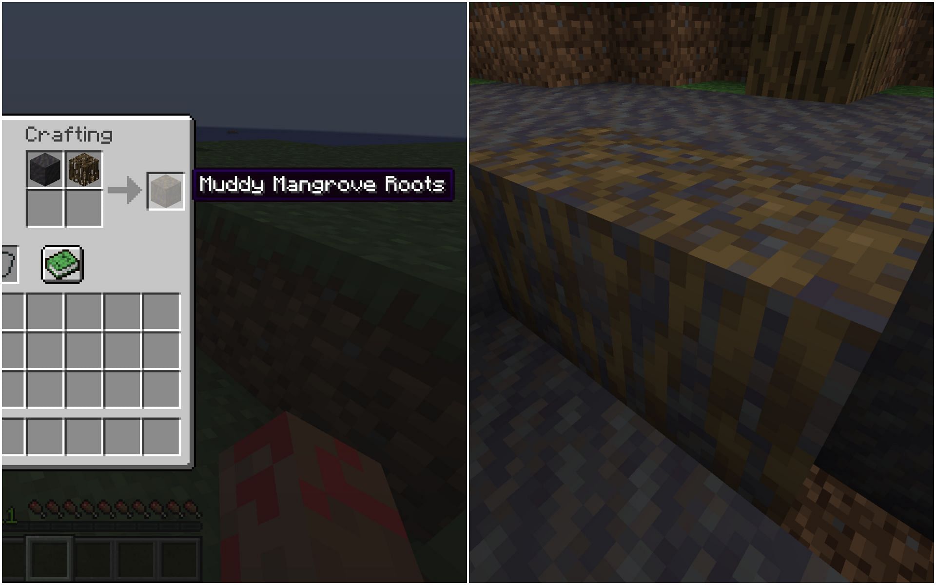 Muddy Mangrove roots (Image via Minecraft 1.19)