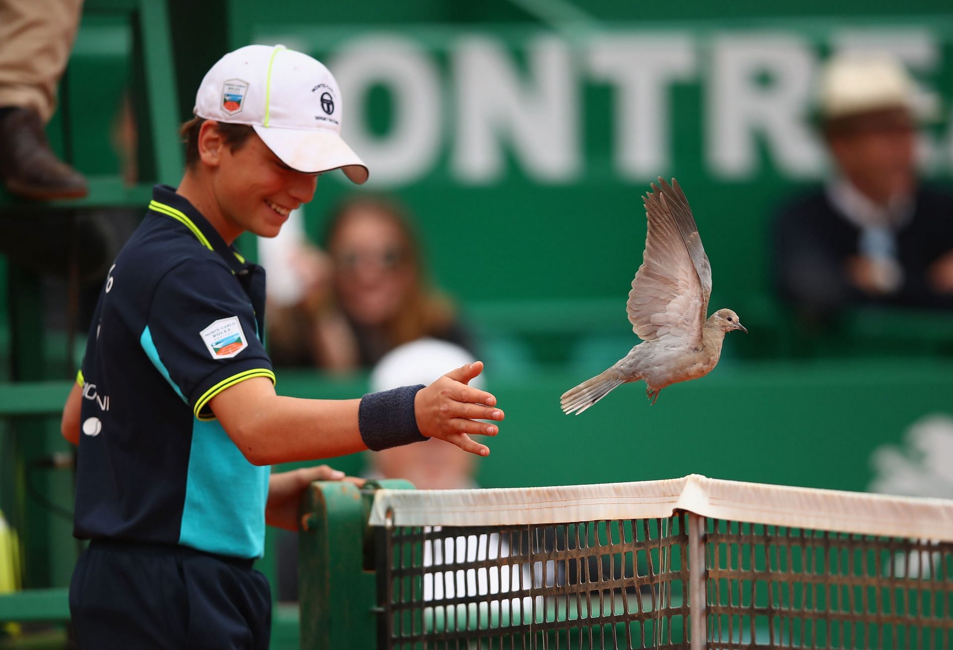 What are some other instances of animals interrupting tennis matches?