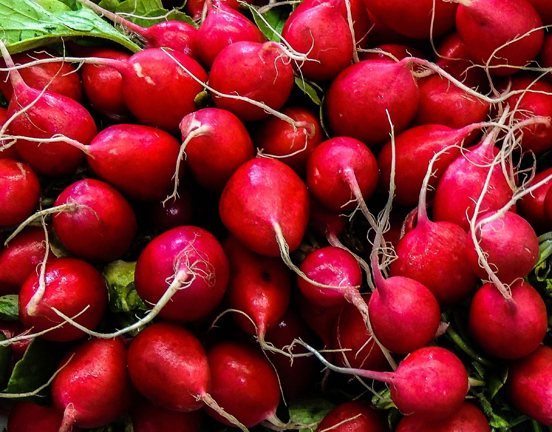 Turnips are a rich source of anthocyanins, which play a key role in preventing chronic illnesses (Image via Unsplash @philippe collard)