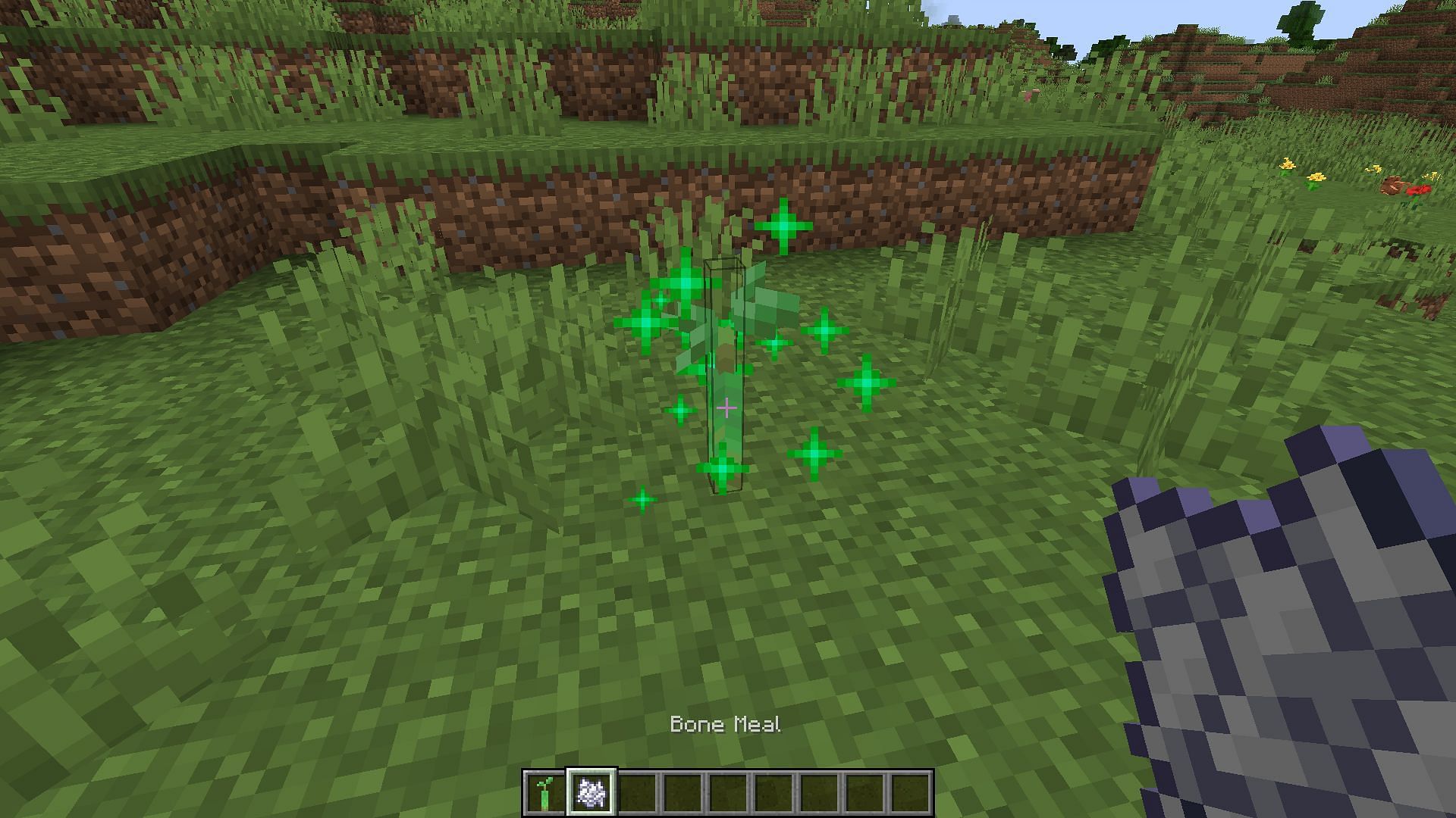 The particle effect after using bone meal on a sapling (Image via Minecraft)