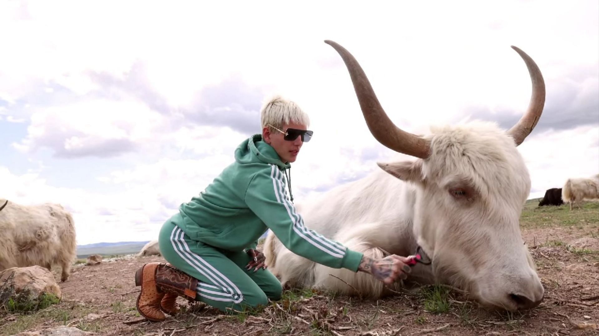 Jeffree Star yak meat controversy: YouTuber clarifies rumors of killing his  animals