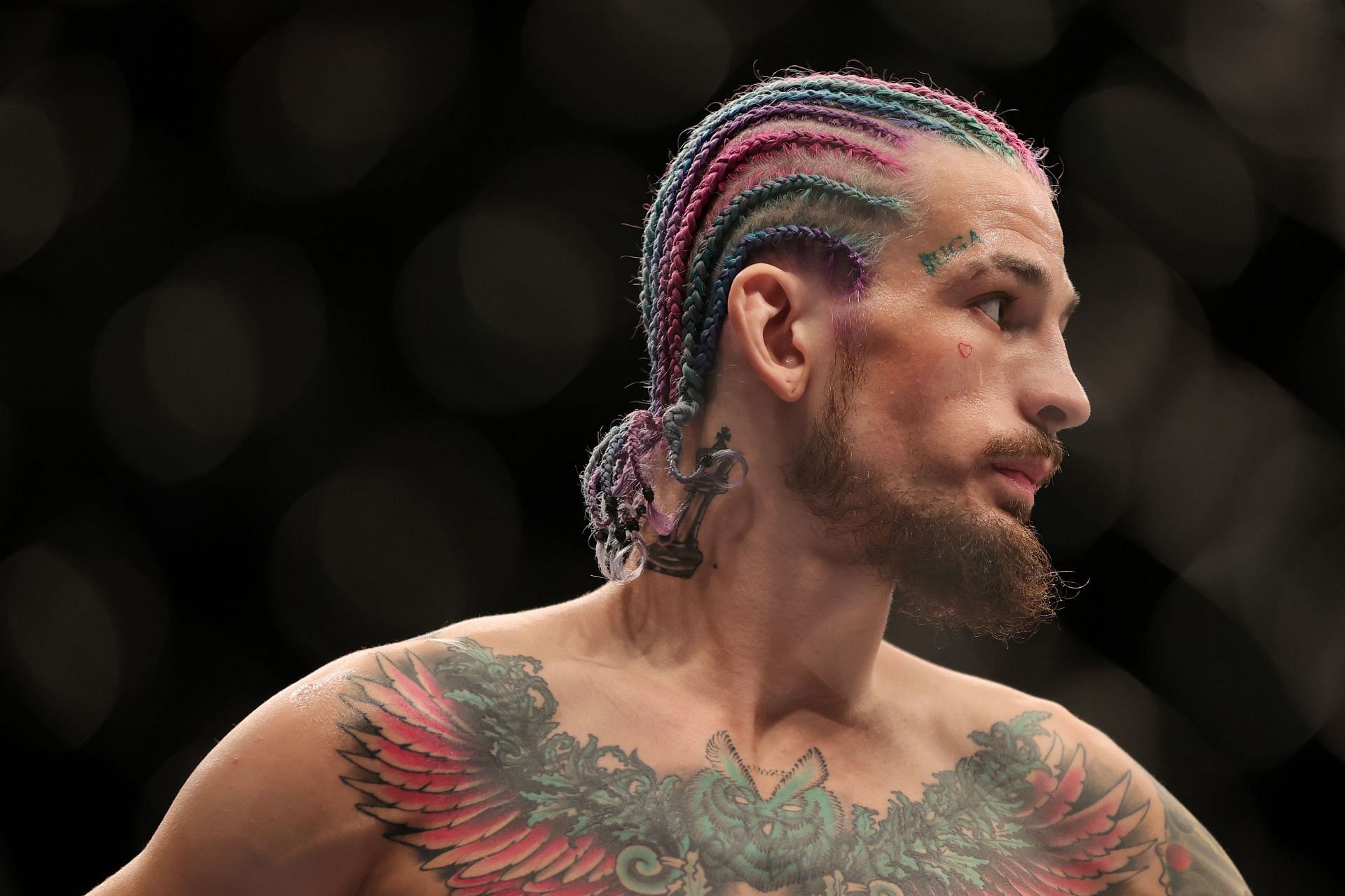 Conor McGregor Tarnishing His Legacy as TUF Coach? UFC Fans Furious After  He Gets a Haircut From TUF 31 Fighter Mando Gutierrez - Sportsmanor