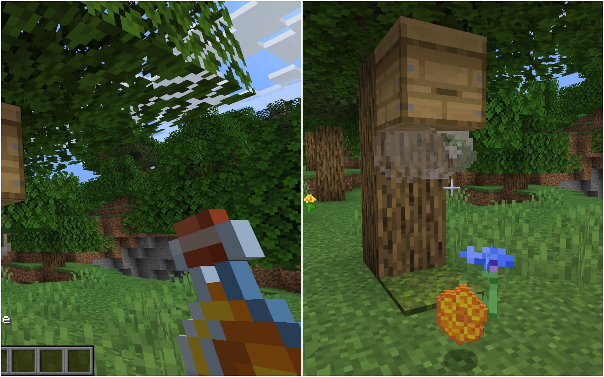 Players can either extract honey or honeycomb from a full beehive (Image via Minecraft 1.19)