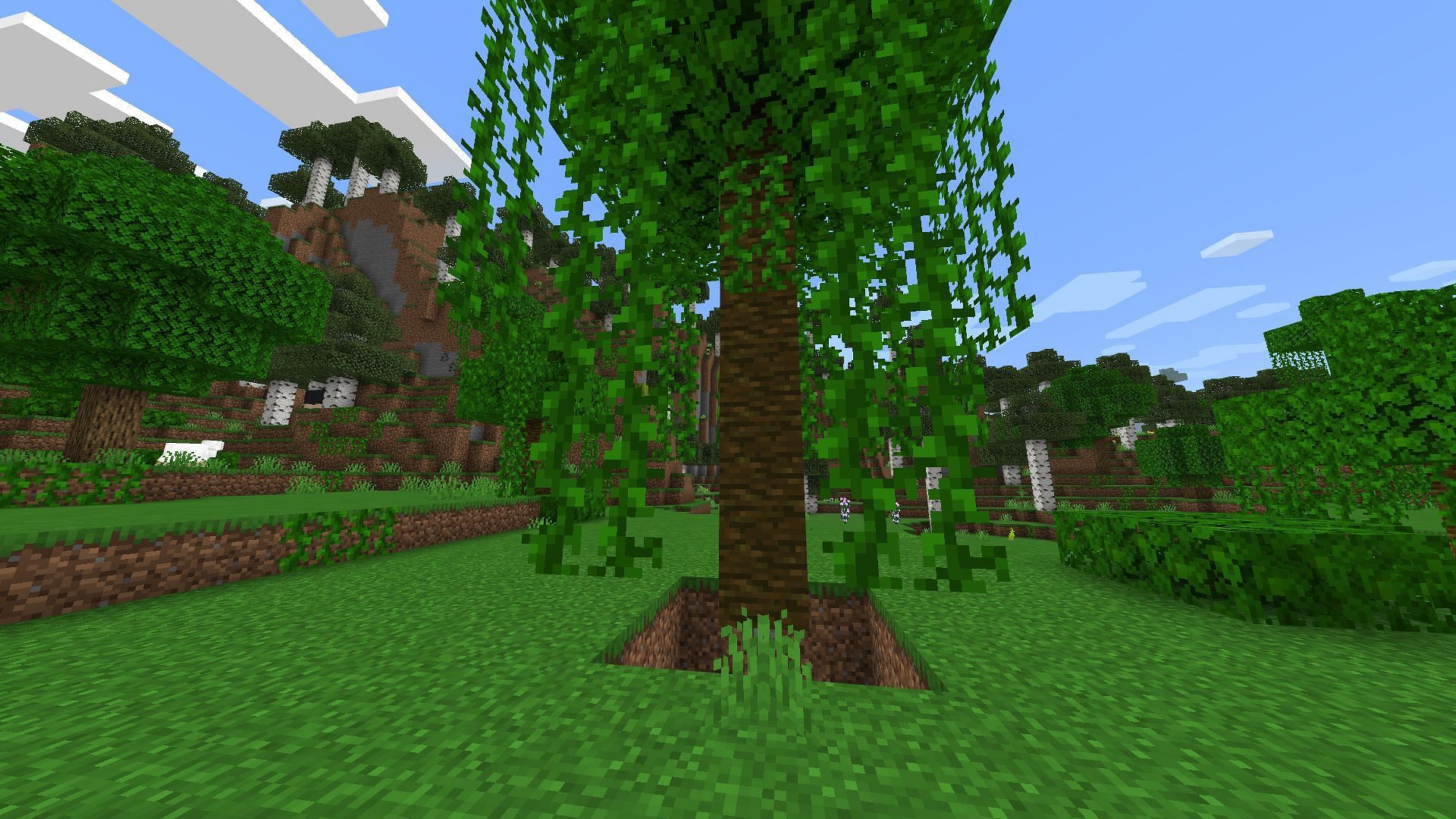 The entire trap will be underneath a tree (Image via Minecraft Bedrock 1.19)
