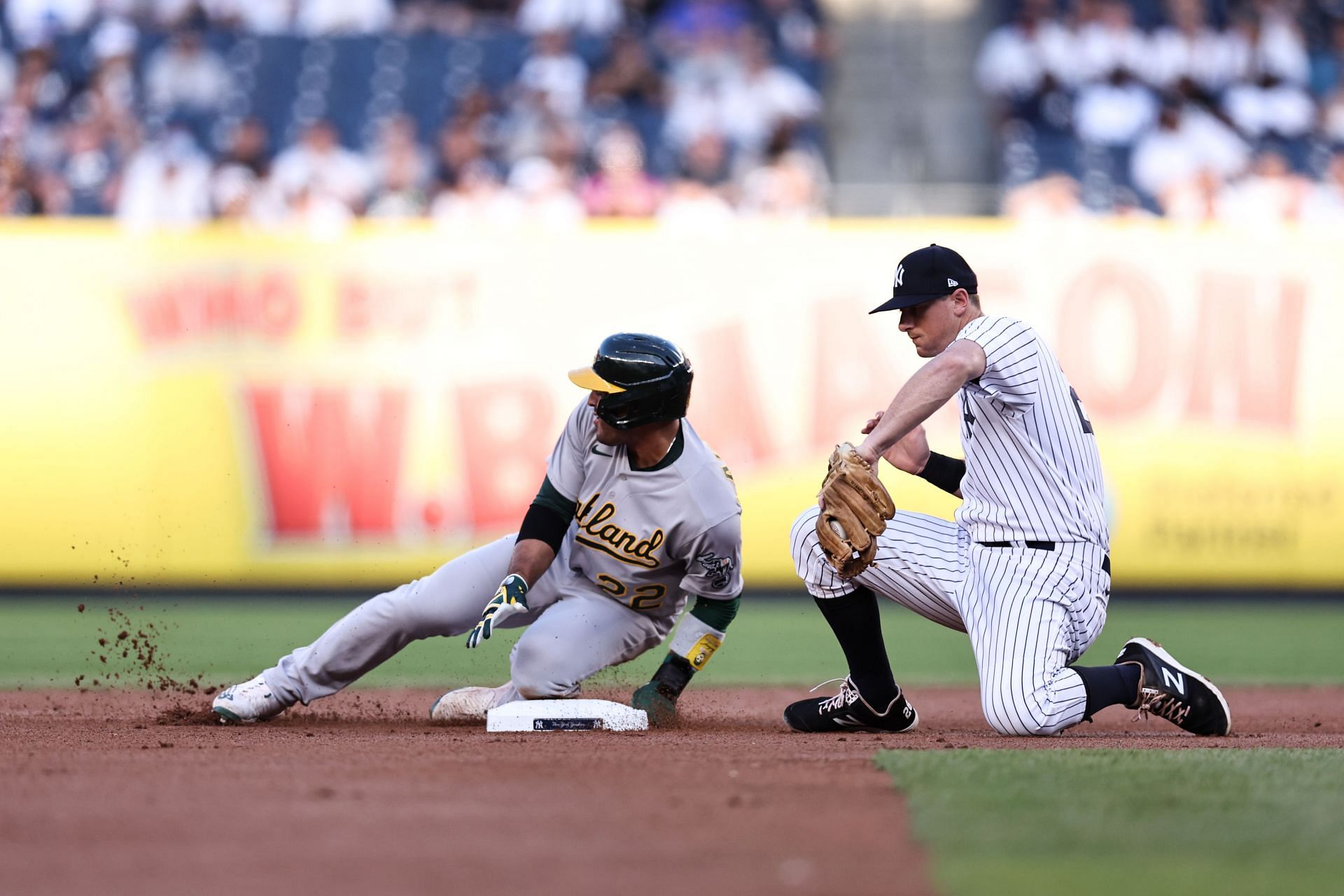 New York Yankees infielder D.J. LeMahieu owns a 1.000 fielding percentage at first and second base this season.