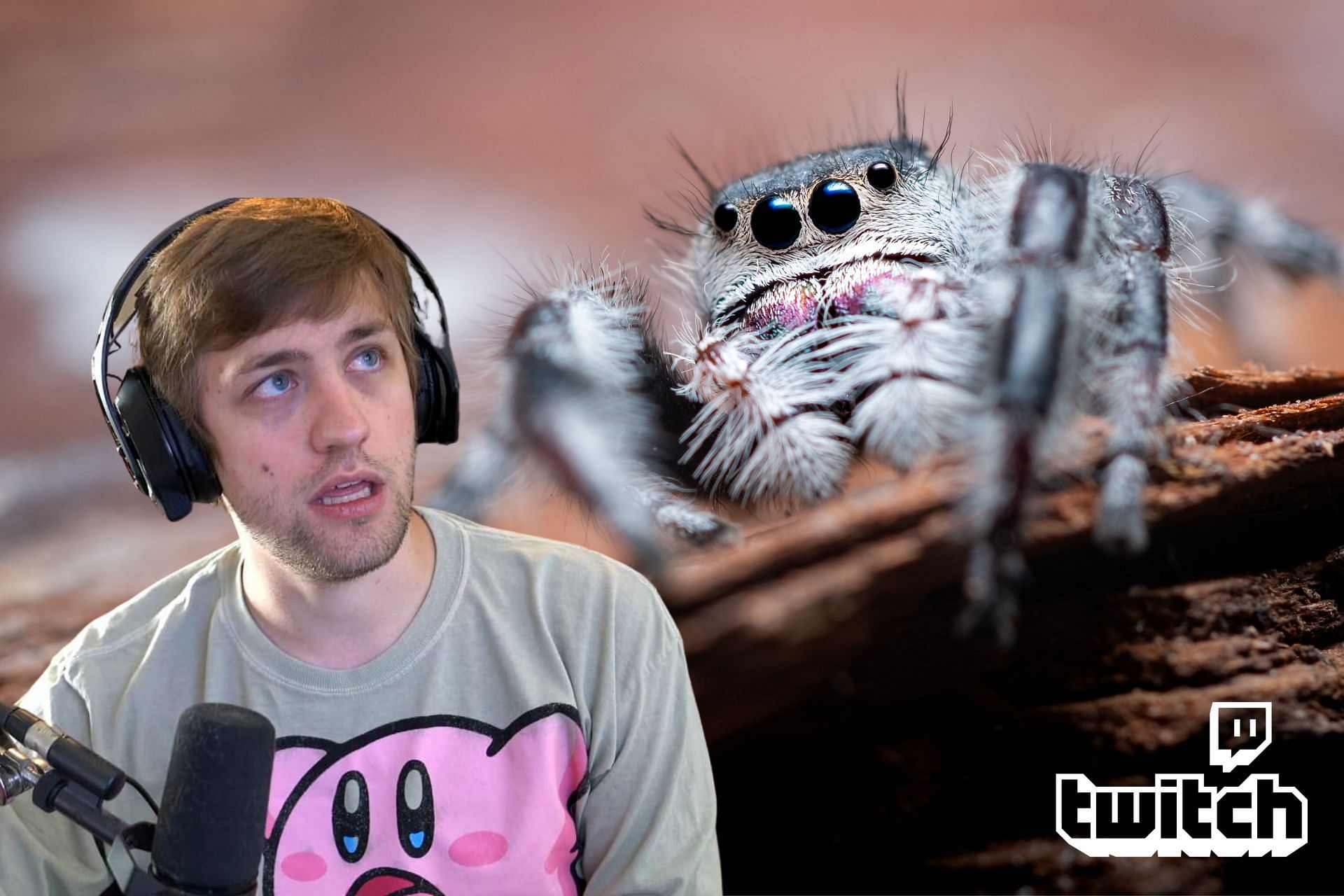 Sodapoppin gets scared after reacting to a spider on stream (Image via Sportskeeda)