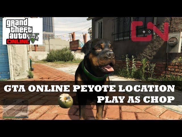 How to find Peyote plants in GTA Online: Locations and more
