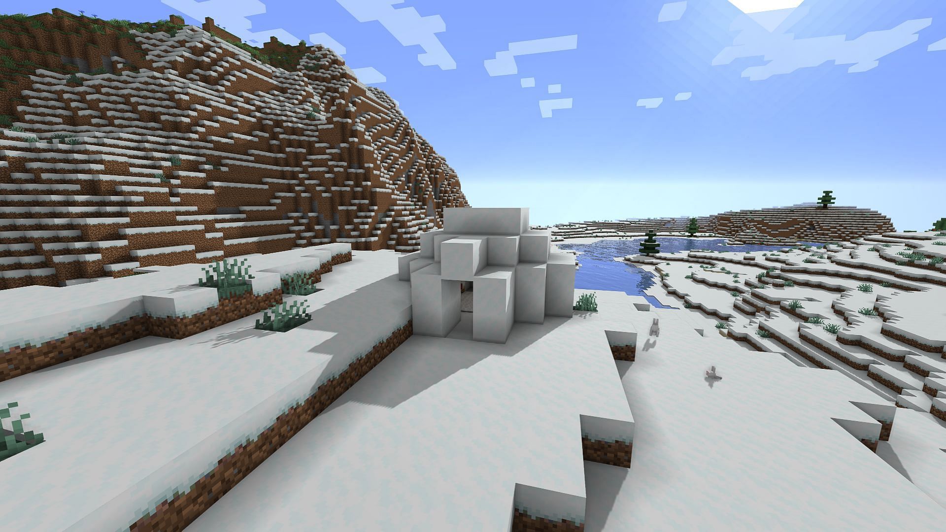 One of the basement igloos found in the seed (Image via Minecraft)