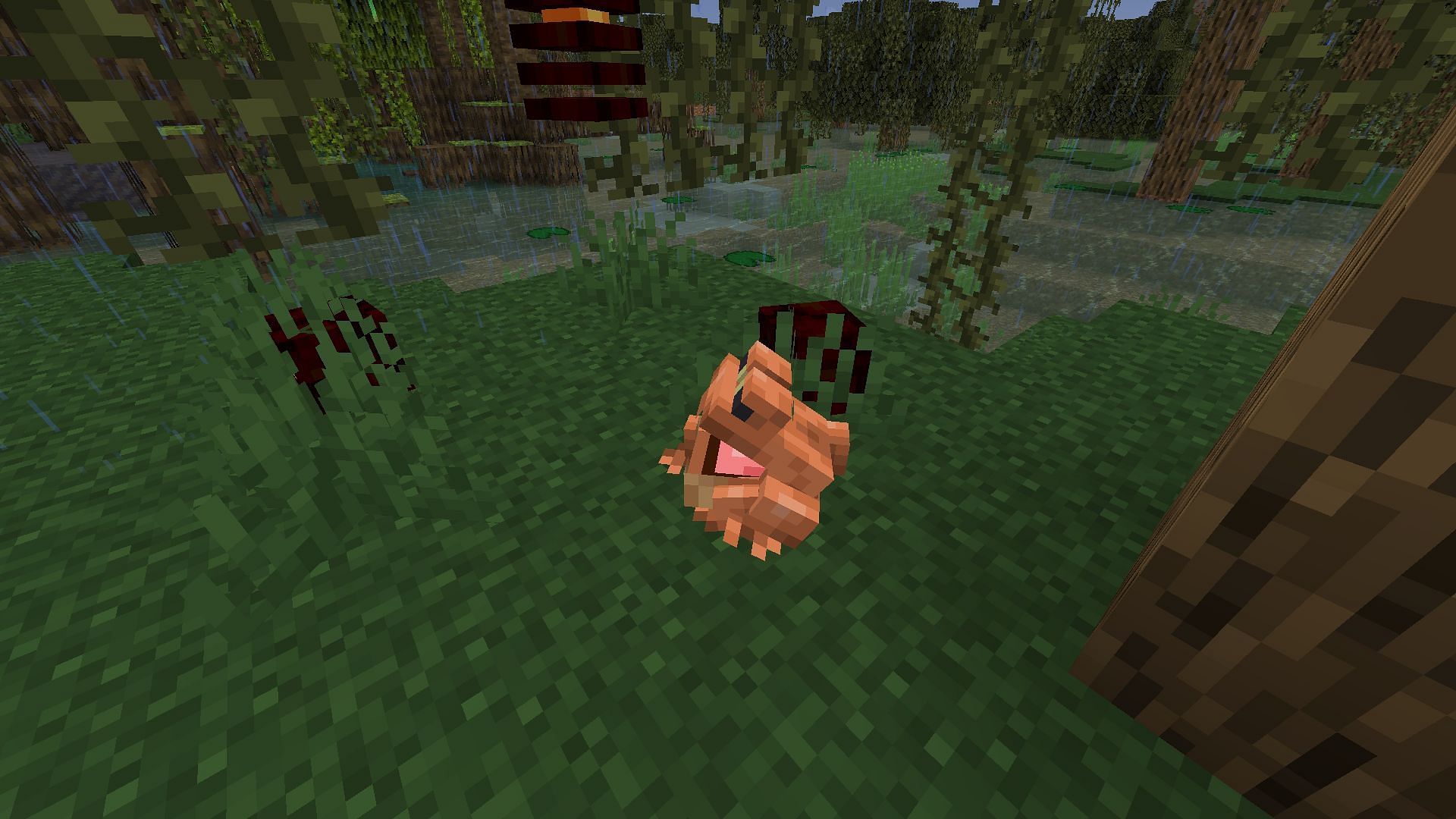 Frogs will eat the smallest magma cubes and drop froglight blocks (Image via Minecraft 1.19 update)