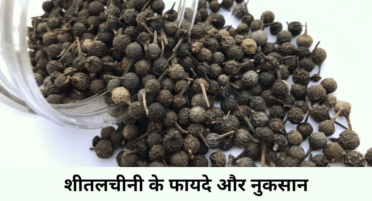 शीतलचीनी के फायदे और नुकसान(फोटो-Sportskeeda hindi)