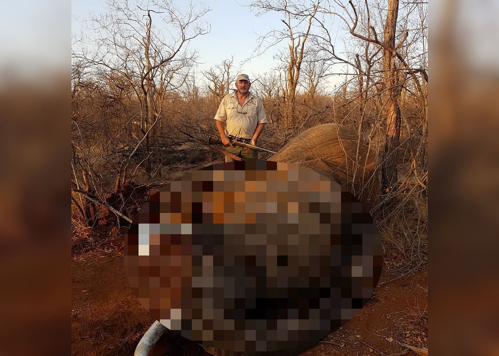 Naude with a hunted elephant (Image via pro_hunt_africa/Instagram)