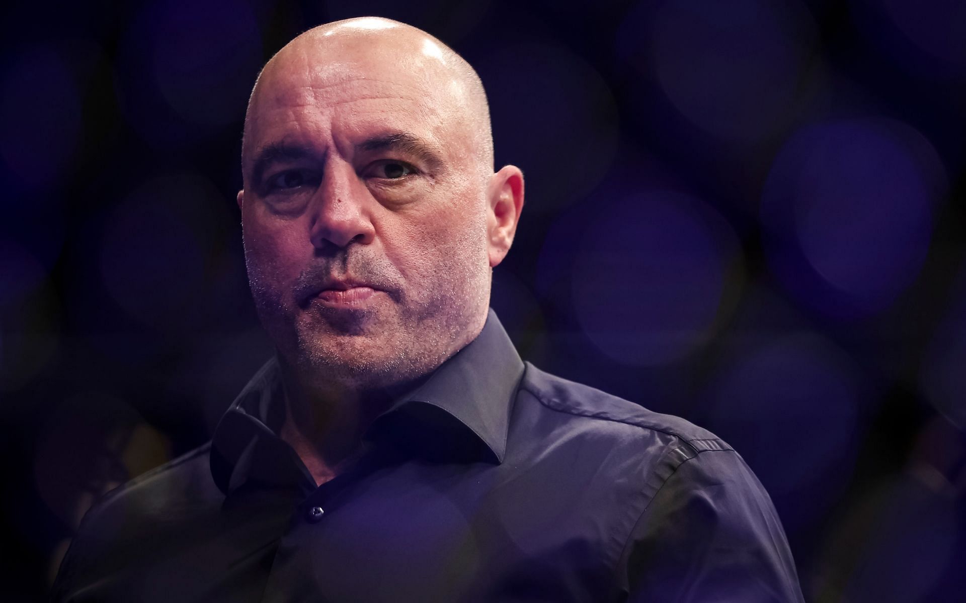 MMA analyst and UFC commentator Joe Rogan