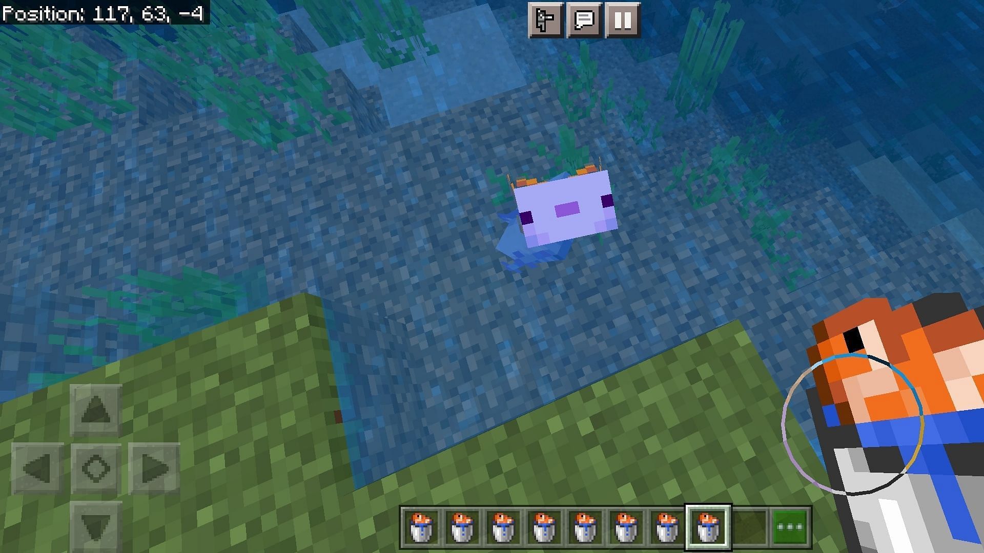 These mobs breed with each other when a bucket of tropical fish is fed to them (Image via Minecraft PE 1.19 update)