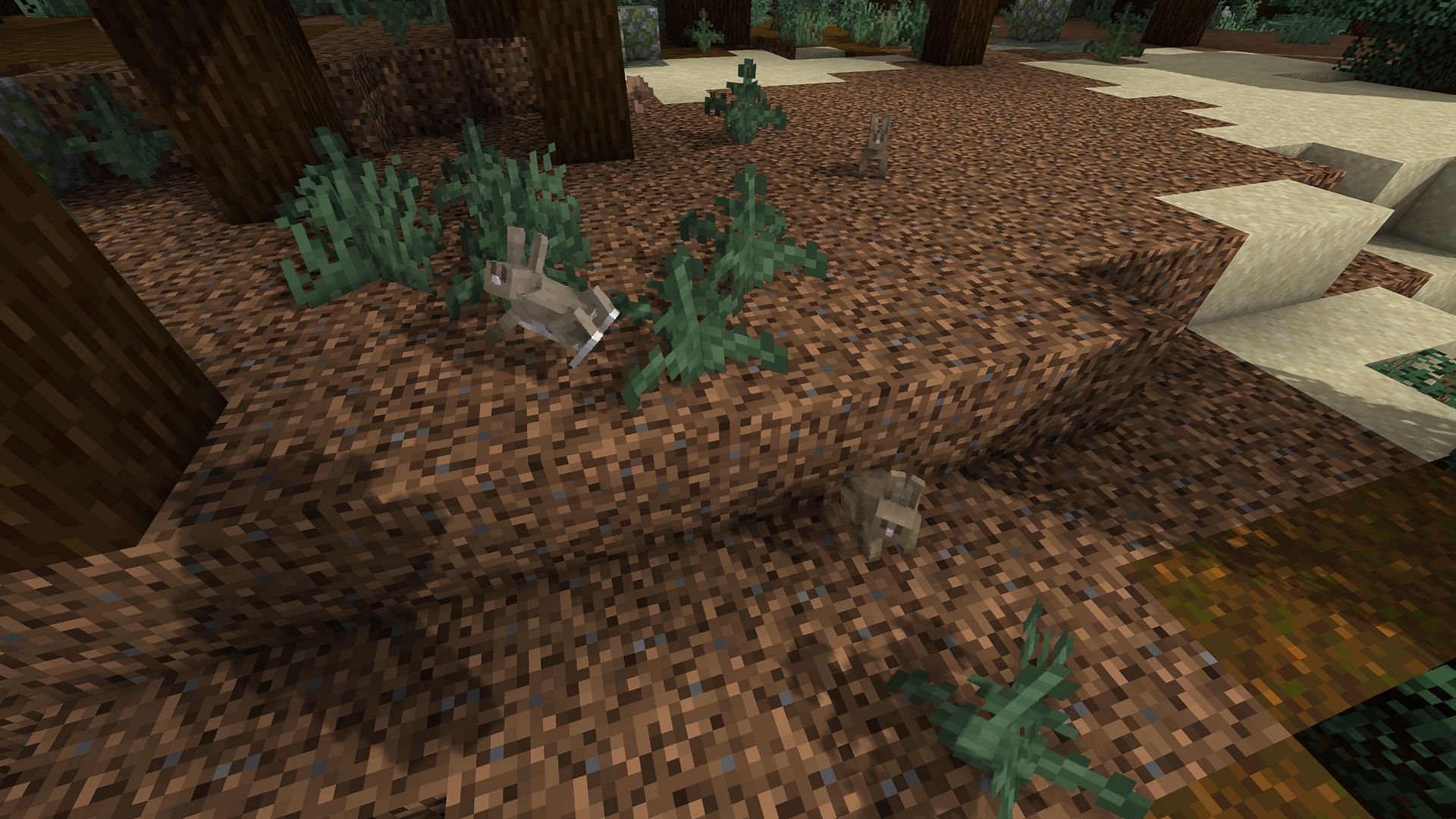 Some rabbits were found in the taiga biome (Image via Minecraft)
