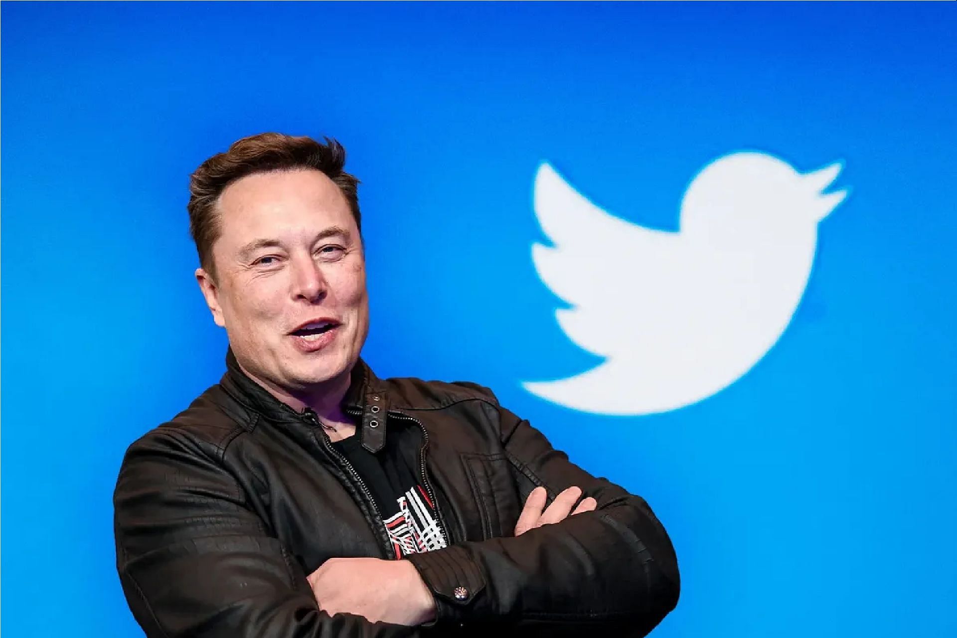 Elon Musk breaks Twitter sabbatical to give tribute to Technoblade (Image via Twitter)