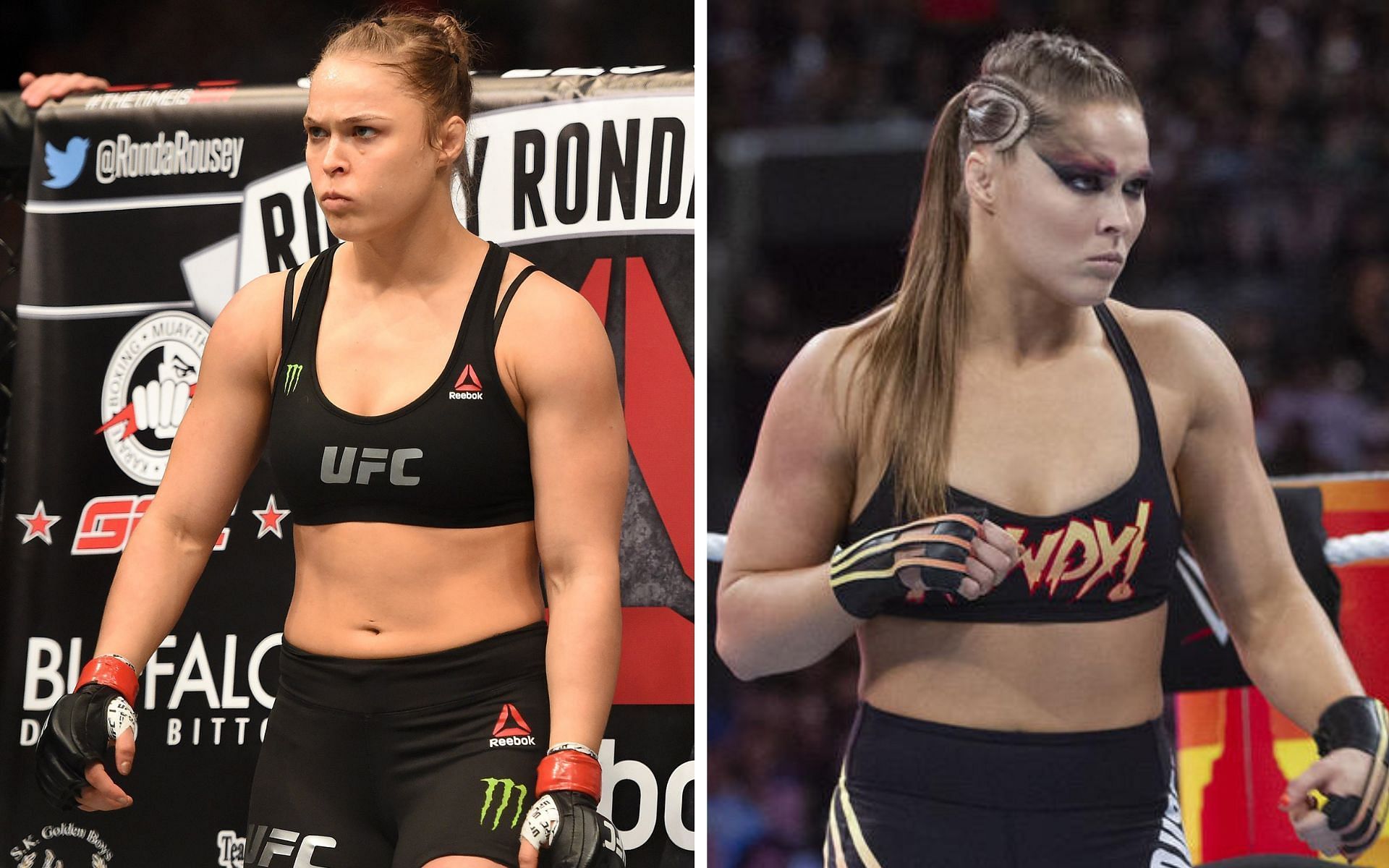 Ronda was champion in UFC and WWE!