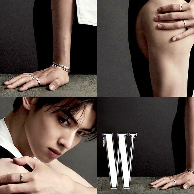 ASTRO's Cha Eun Woo rocks a collaboration between 'Burberry' & 'Chaumet' on  the cover of 'W Korea