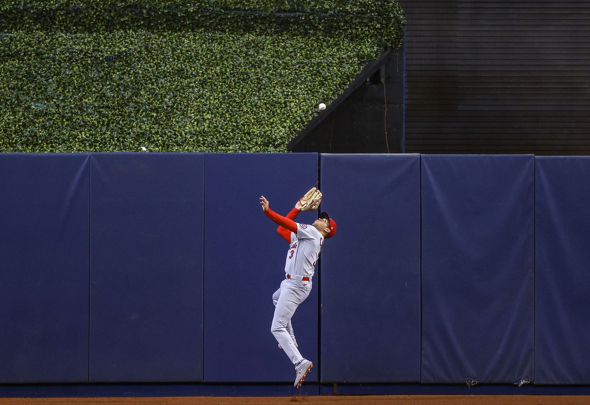 St Louis Cardinals outfielder Dylan Carlson making an outfield catch.
