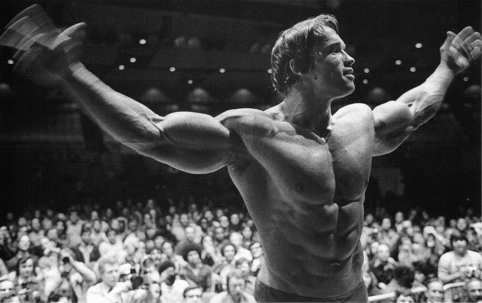 Tips to get huge biceps like Arnold Schwarzenegger (Image via alphacoders.com)