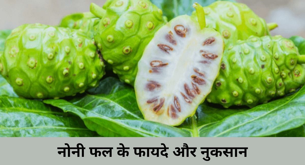 नोनी फल के फायदे और नुकसान(फोटो-Sportskeeda hindi)