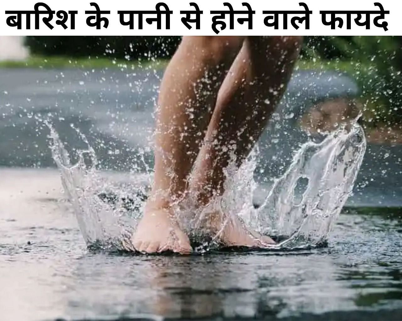 बारिश के पानी से होने वाले फायदे  (फोटो - sportskeeda hindi)