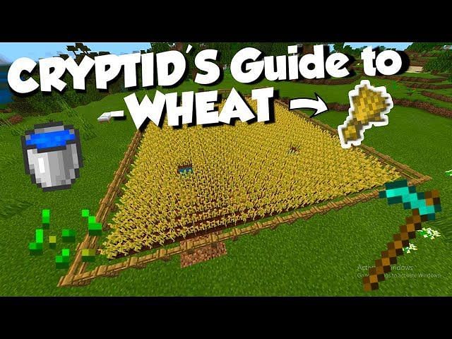 how-to-plant-wheat-in-minecraft-1-19-update