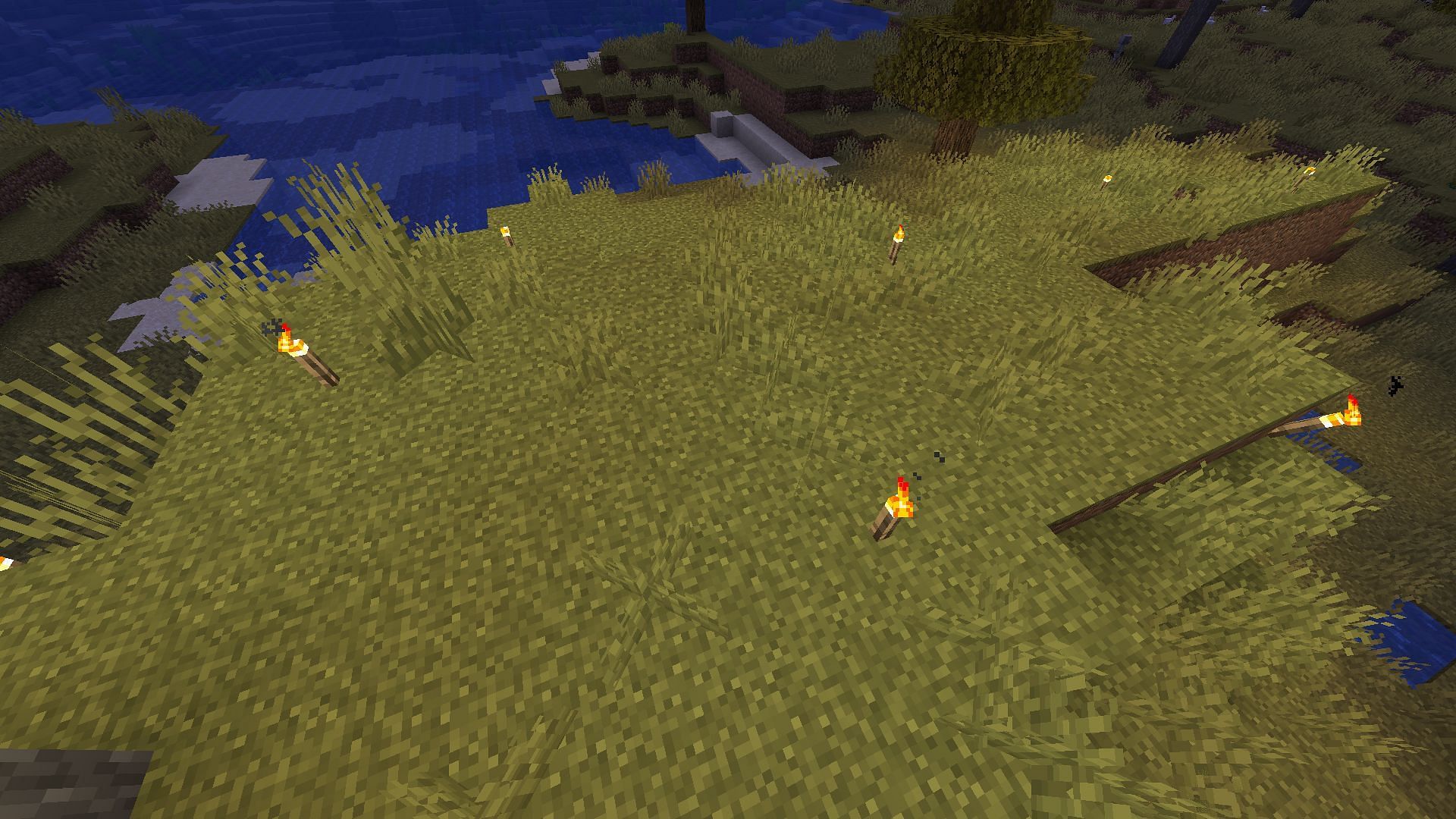 Spawn proofing areas by lighting it up (Image via Mojang)