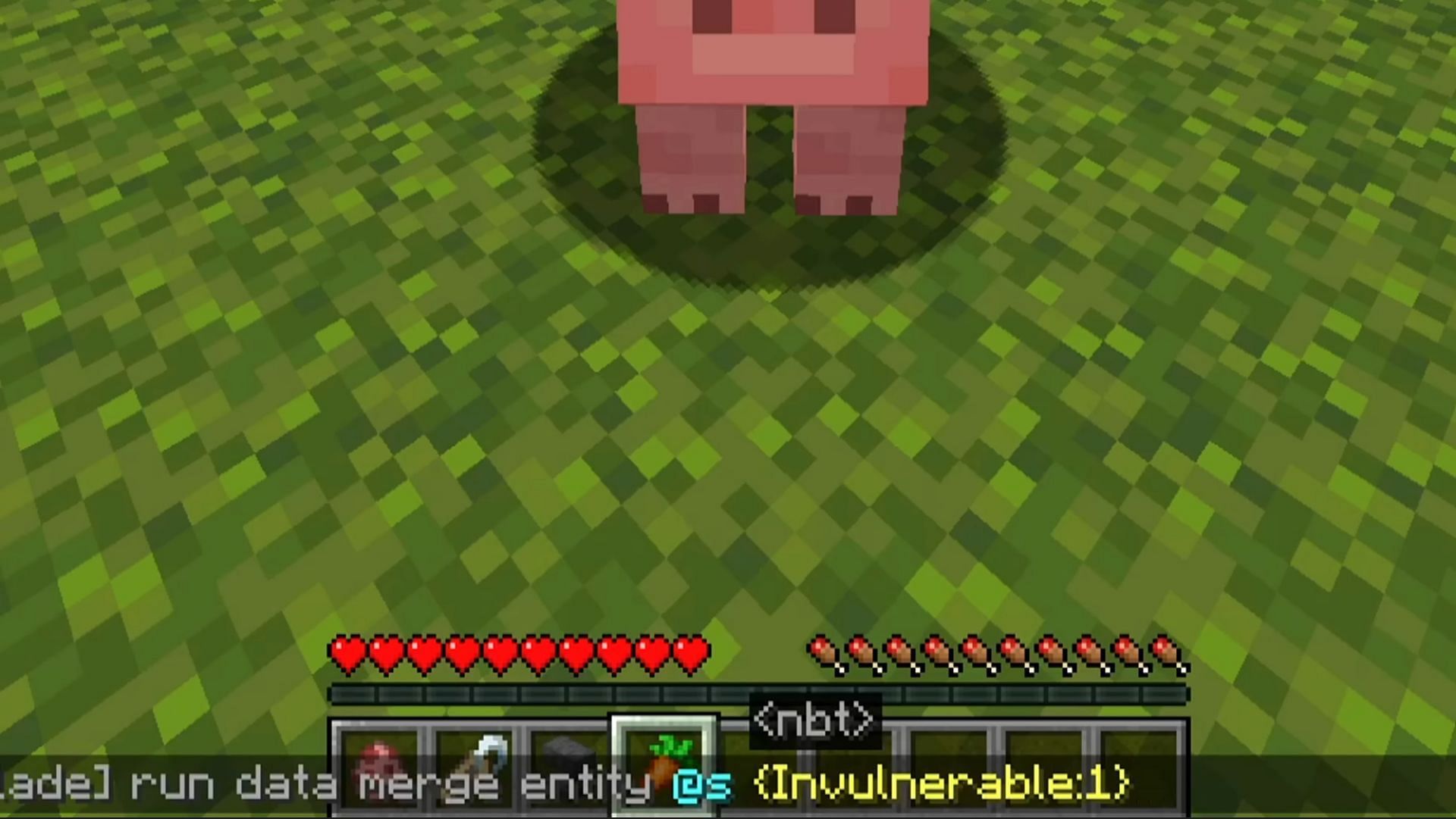The YouTuber gives the pig invulnerability to the pig mob (Image via Phoenix SC YouTube)