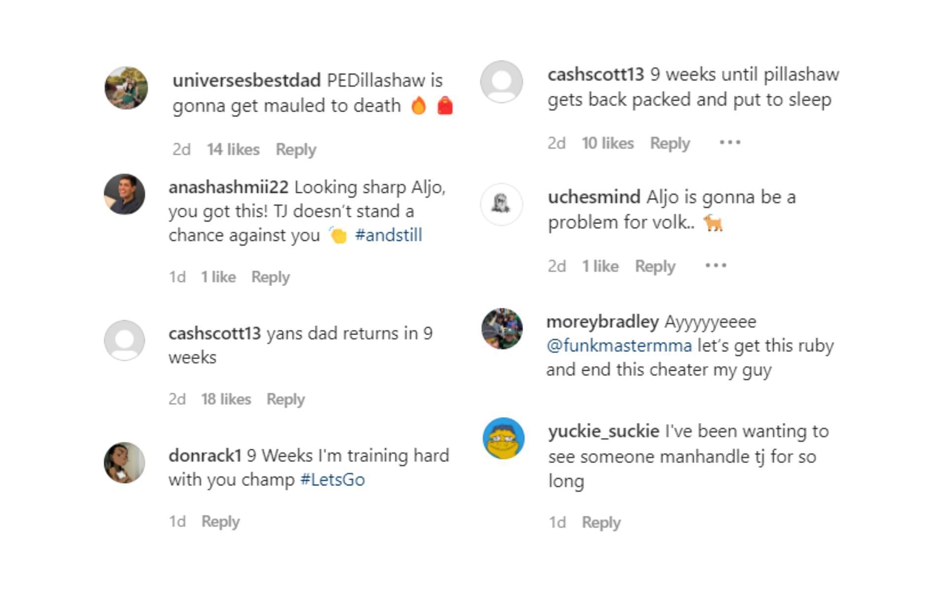 Fan reaction to Aljamain Sterling's post on Instagram