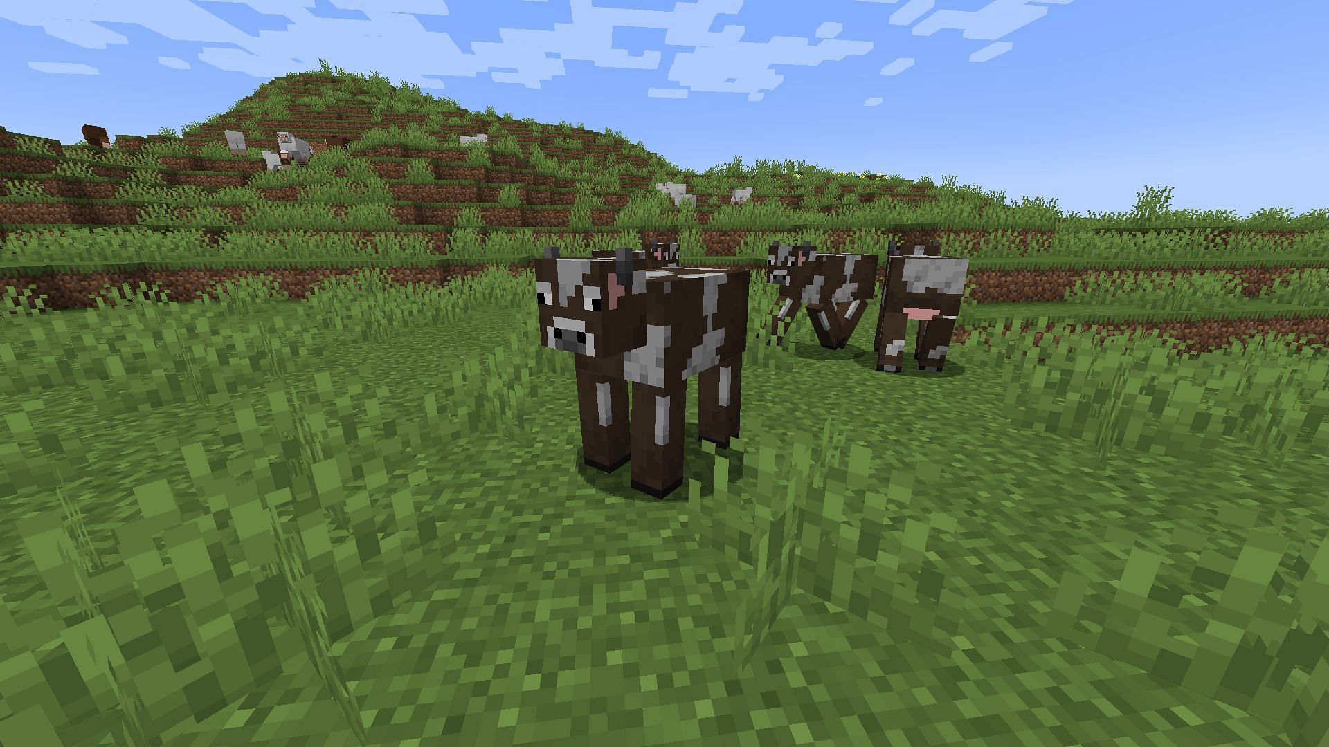 Cows can also be bred with wheat (Image via Minecraft 1.19 update)