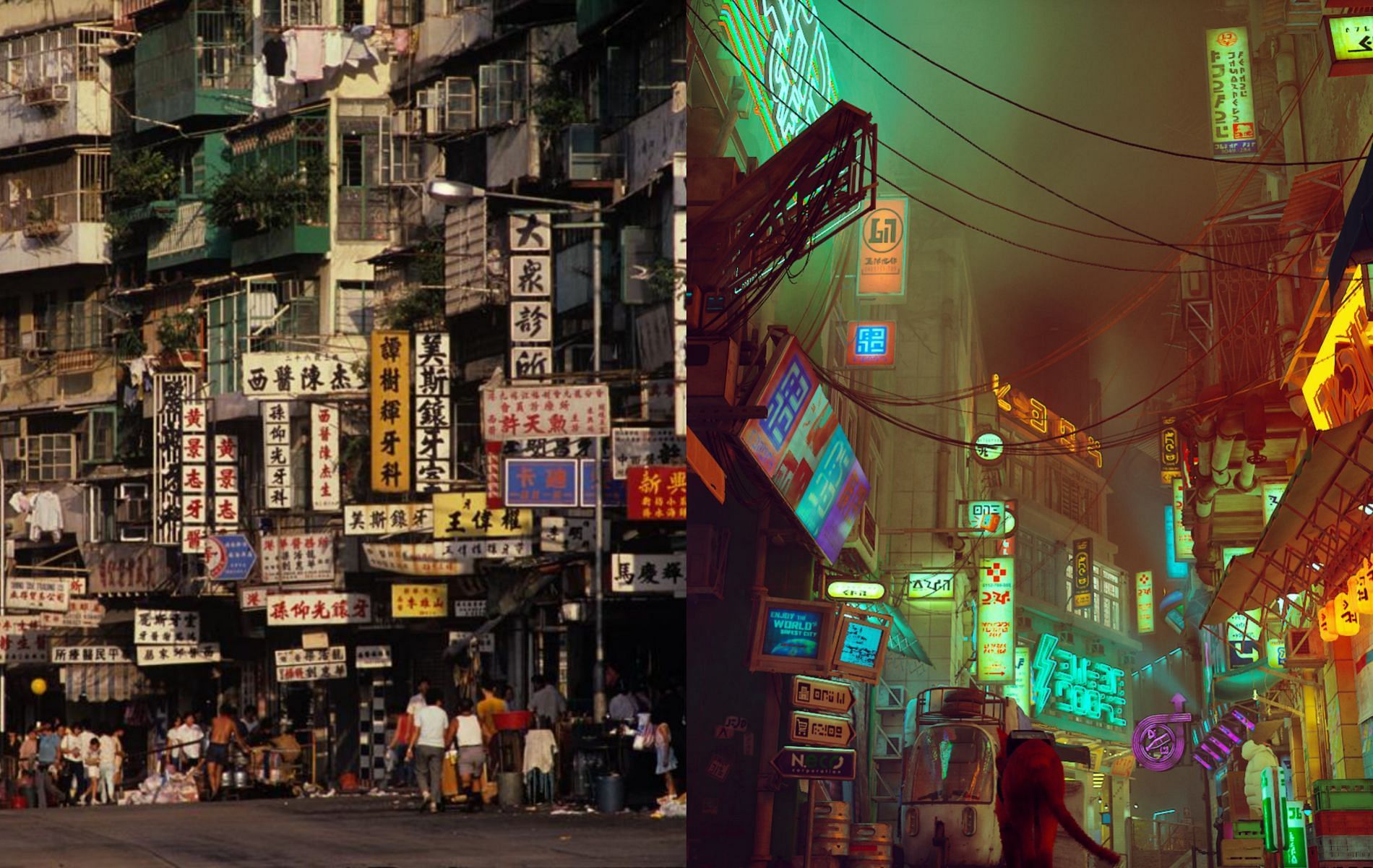 The two worlds (Image on left via Greg Girard, Image on right via Stray)