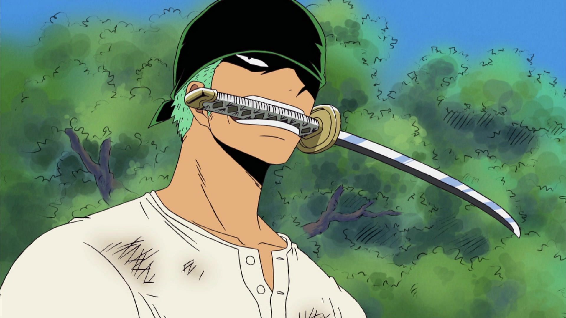 Oda teases Roronoa Zoro vs Mihawk with a Twist  One Piece Manga  Anime  India