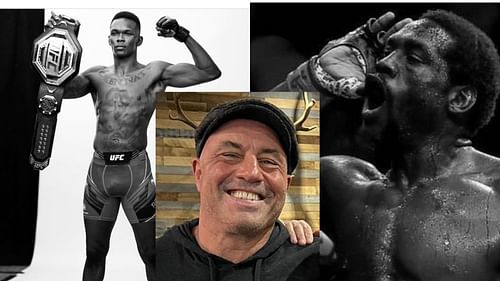 Israel Adesanya (L), Joe Rogan (M), and Jared Cannonier (R) [Images courtesy: @stylebender, @joerogan, @killagorillamma on Instagram]