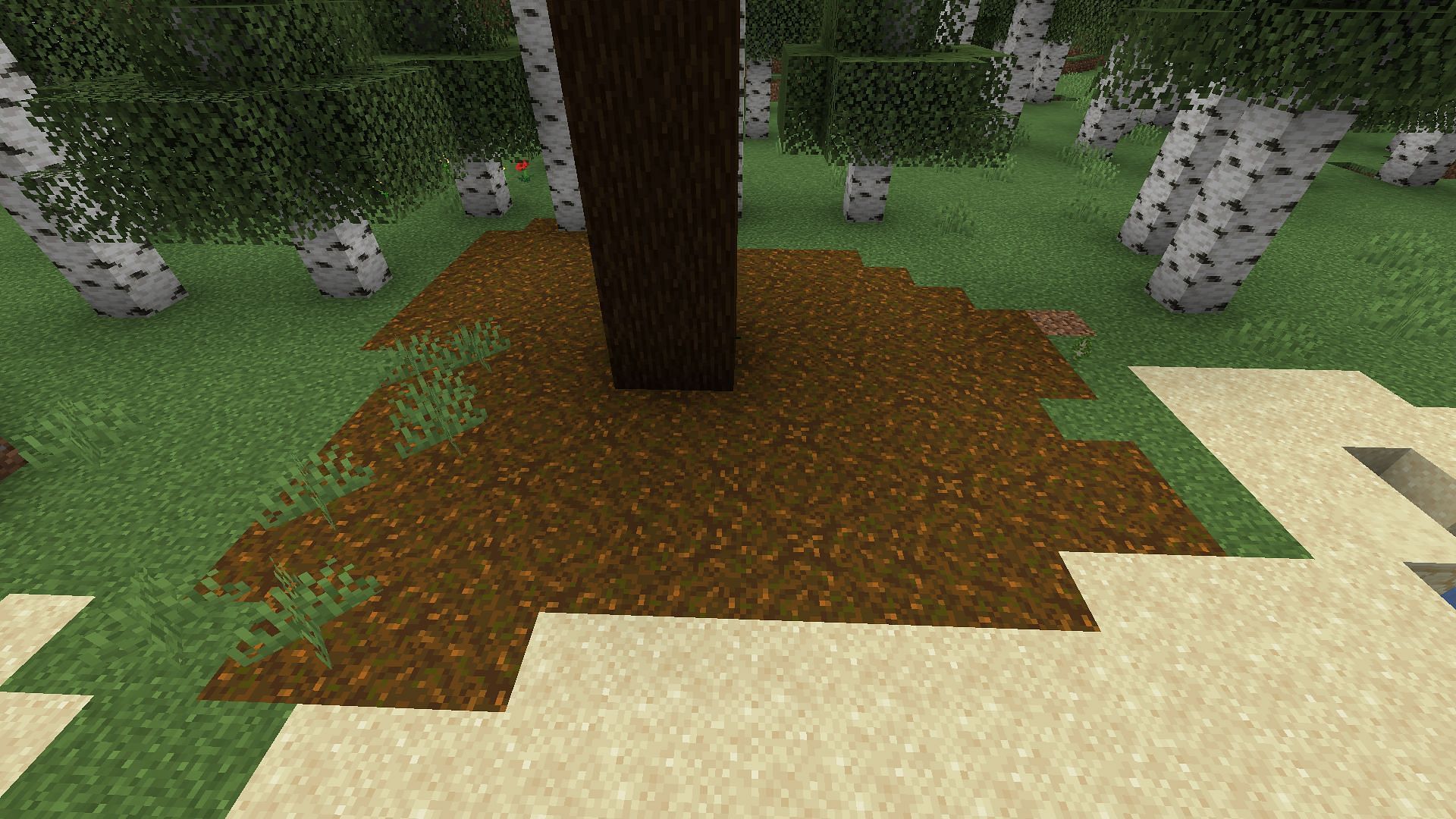 An example of manually generated Podzol (Image via Minecraft)