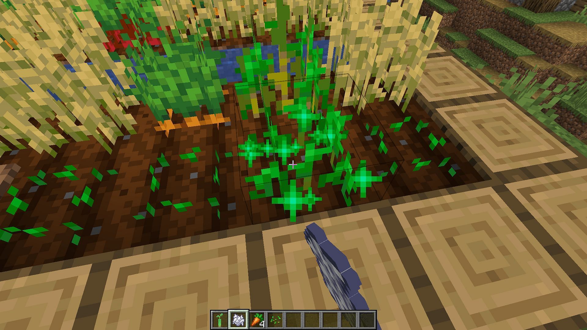 A player using bone meal on wheat (Image via Minecraft)