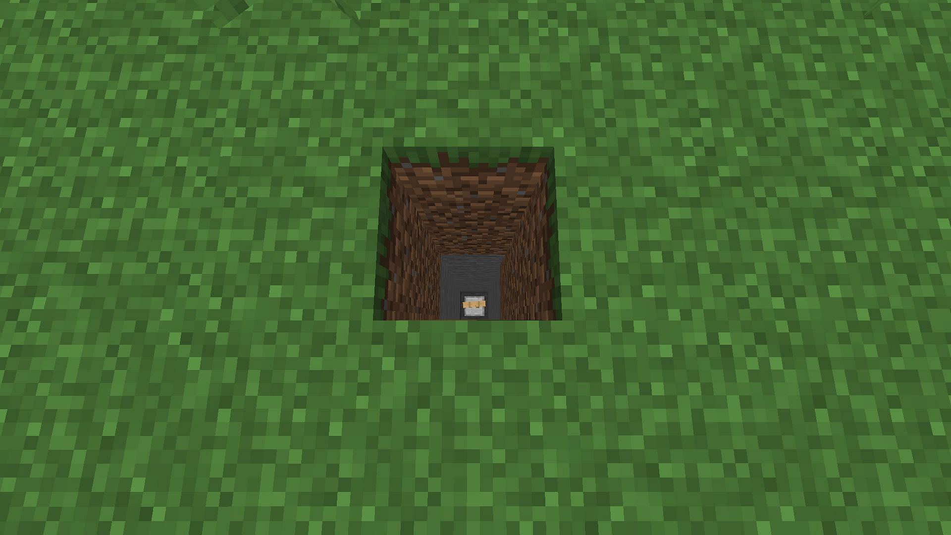 A 1x1 space where the prankster can push their victim (Image via Minecraft)