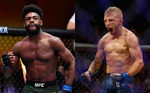 Aljamain Sterling (left) and T.J. Dillashaw (right)